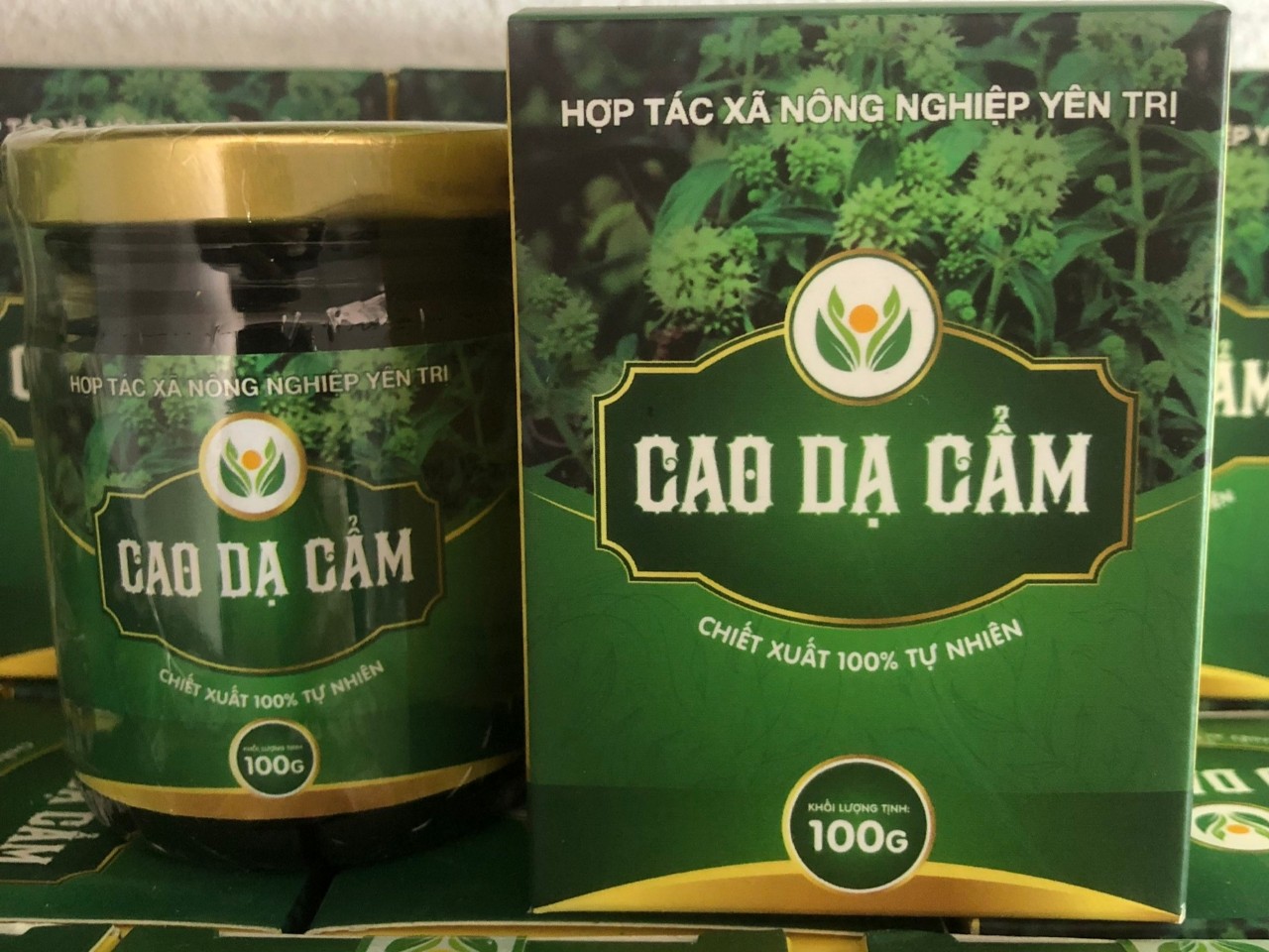 Cao Dạ cẩm